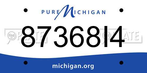 87368I4 Michigan License Plate