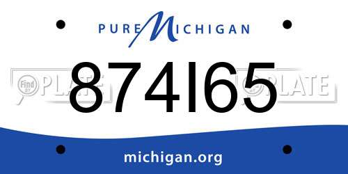 874I65 Michigan License Plate