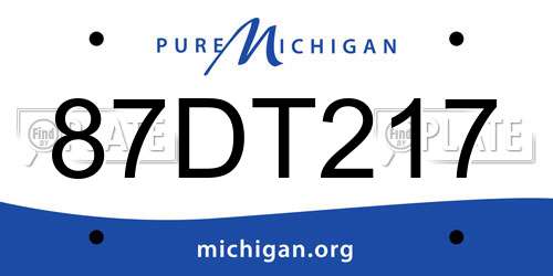 87DT217 Michigan License Plate