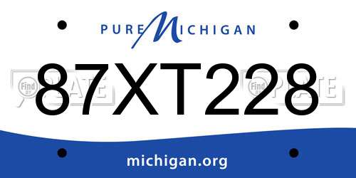 87XT228 Michigan License Plate