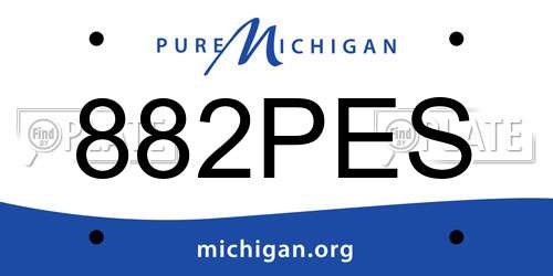 882PES Michigan License Plate