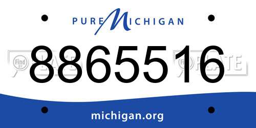 8865516 Michigan License Plate