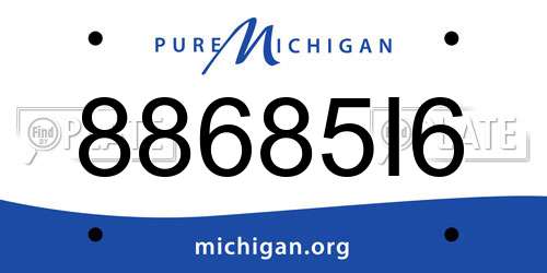 88685I6 Michigan License Plate