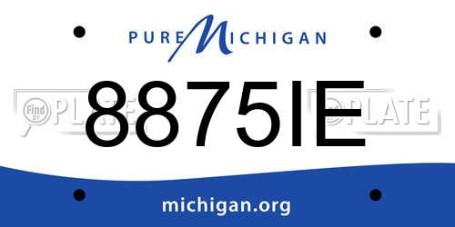 8875IE Michigan License Plate