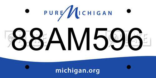 88AM596 Michigan License Plate