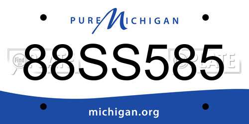 88SS585 Michigan License Plate