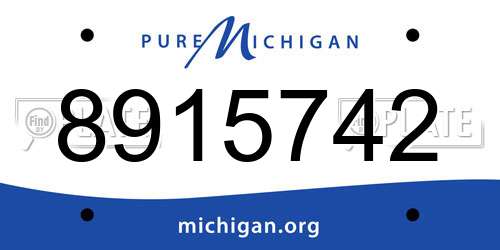 8915742 Michigan License Plate