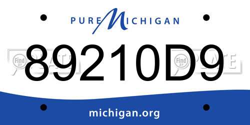 89210D9 Michigan License Plate