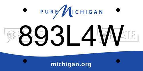 893L4W Michigan License Plate