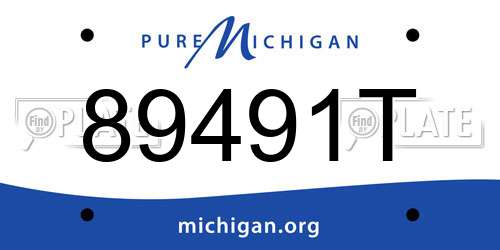 89491T Michigan License Plate