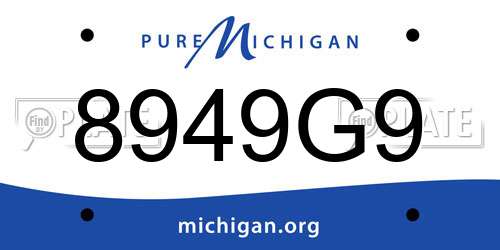 8949G9 Michigan License Plate