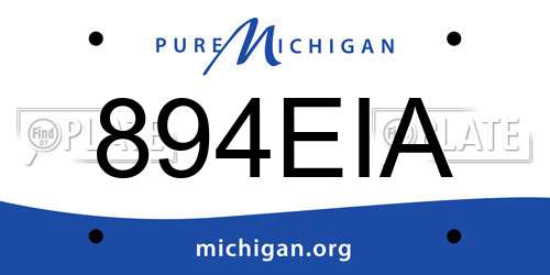 894EIA Michigan License Plate