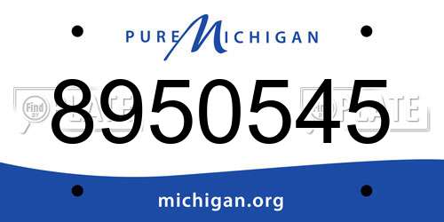 8950545 Michigan License Plate