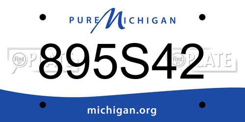 895S42 Michigan License Plate
