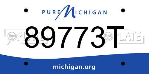 89773T Michigan License Plate