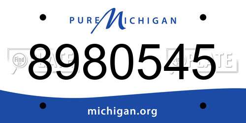 8980545 Michigan License Plate