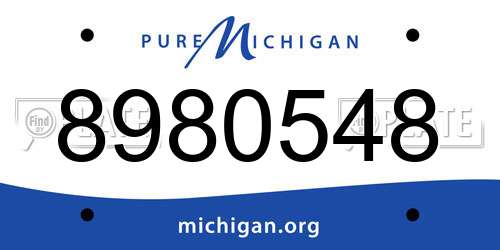 8980548 Michigan License Plate