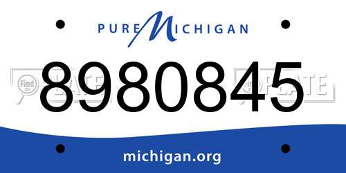 8980845 Michigan License Plate
