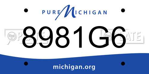 8981G6 Michigan License Plate