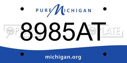 8985AT Michigan License Plate