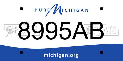 8995AB Michigan License Plate