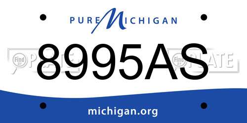 8995AS Michigan License Plate