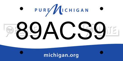 89ACS9 Michigan License Plate