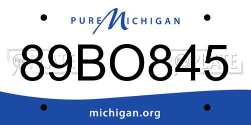 89BO845 Michigan License Plate