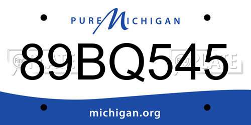 89BQ545 Michigan License Plate