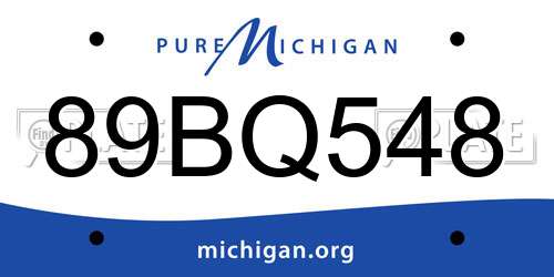 89BQ548 Michigan License Plate