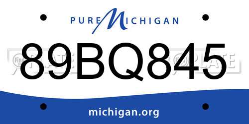 89BQ845 Michigan License Plate