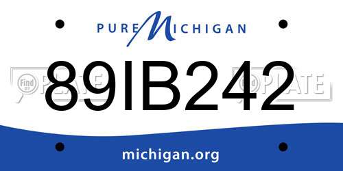 89IB242 Michigan License Plate