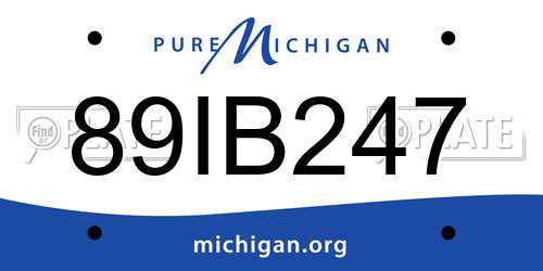 89IB247 Michigan License Plate