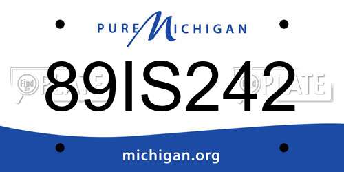 89IS242 Michigan License Plate