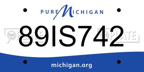 89IS742 Michigan License Plate