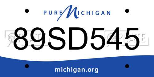 89SD545 Michigan License Plate