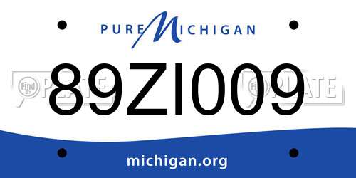 89ZI009 Michigan License Plate