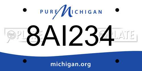 8AI234 Michigan License Plate