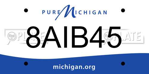 8AIB45 Michigan License Plate