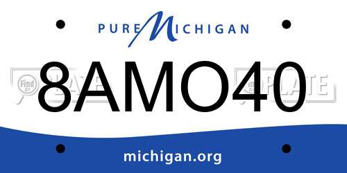 8AMO40 Michigan License Plate