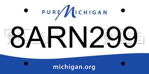 8ARN299 Michigan License Plate