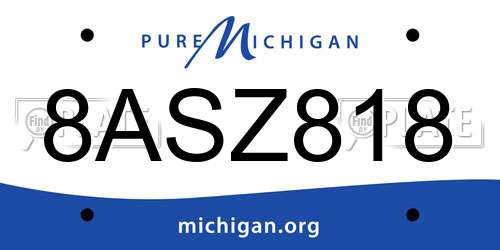 8ASZ818 Michigan License Plate