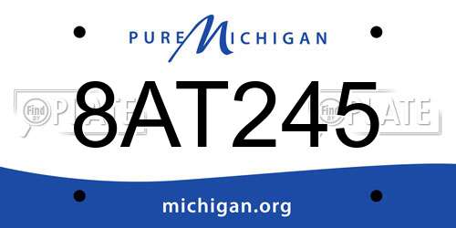 8AT245 Michigan License Plate