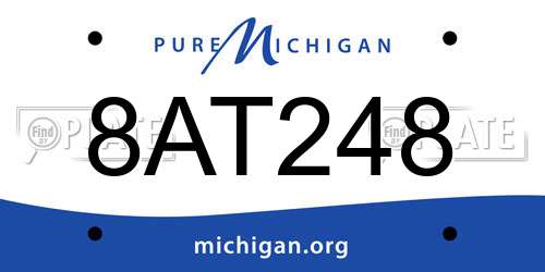 8AT248 Michigan License Plate
