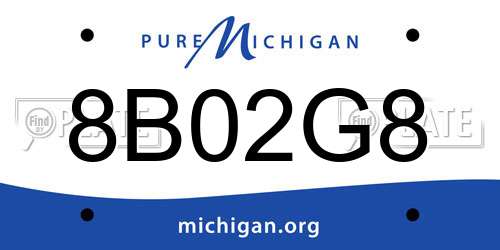 8B02G8 Michigan License Plate