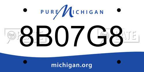 8B07G8 Michigan License Plate
