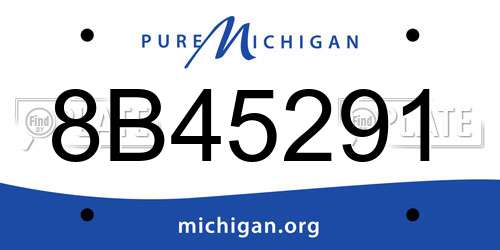 8B45291 Michigan License Plate