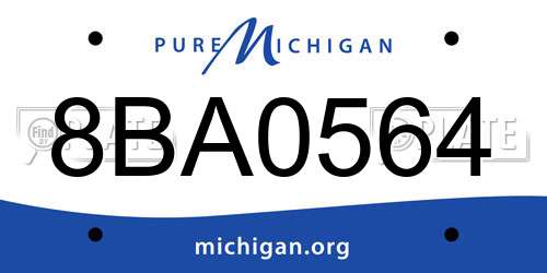 8BA0564 Michigan License Plate