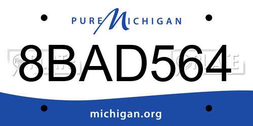 8BAD564 Michigan License Plate