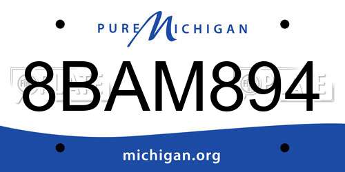 8BAM894 Michigan License Plate